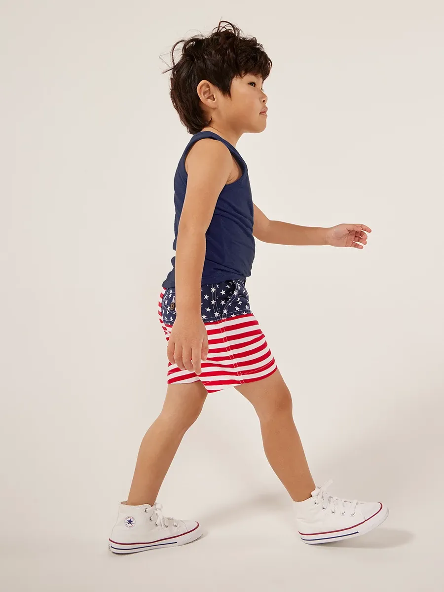 The Mini 'Mericas - Image 3