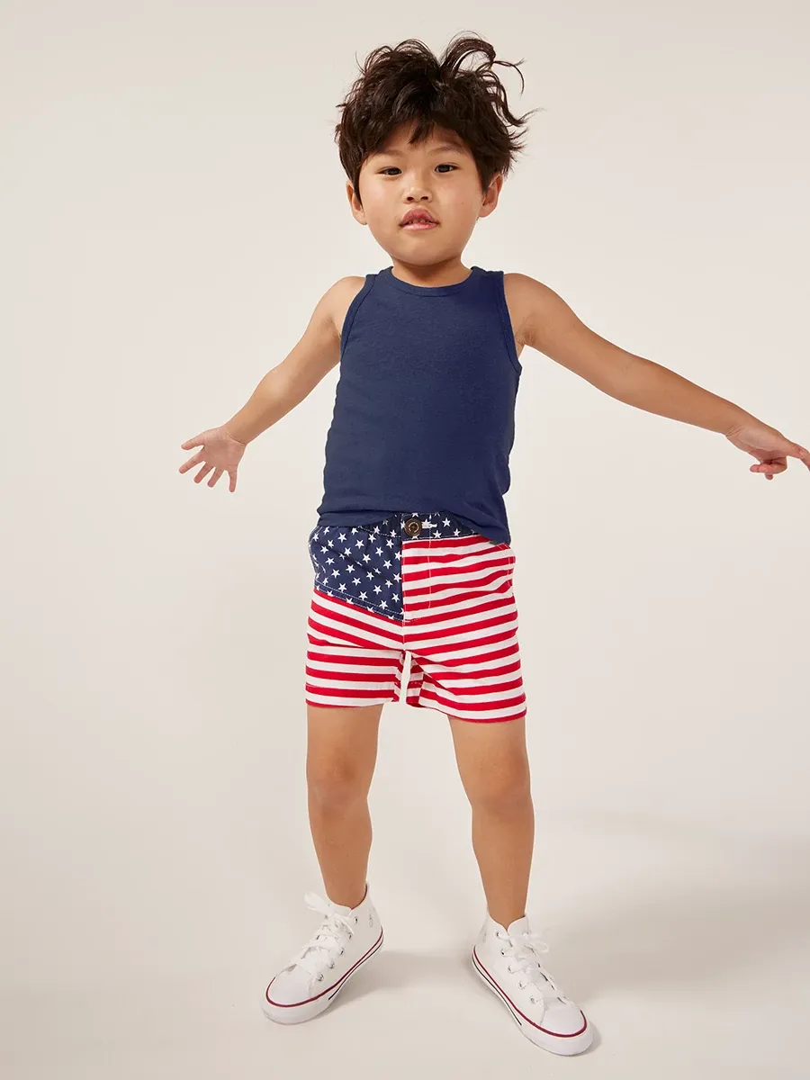 The Mini 'Mericas - Image 4