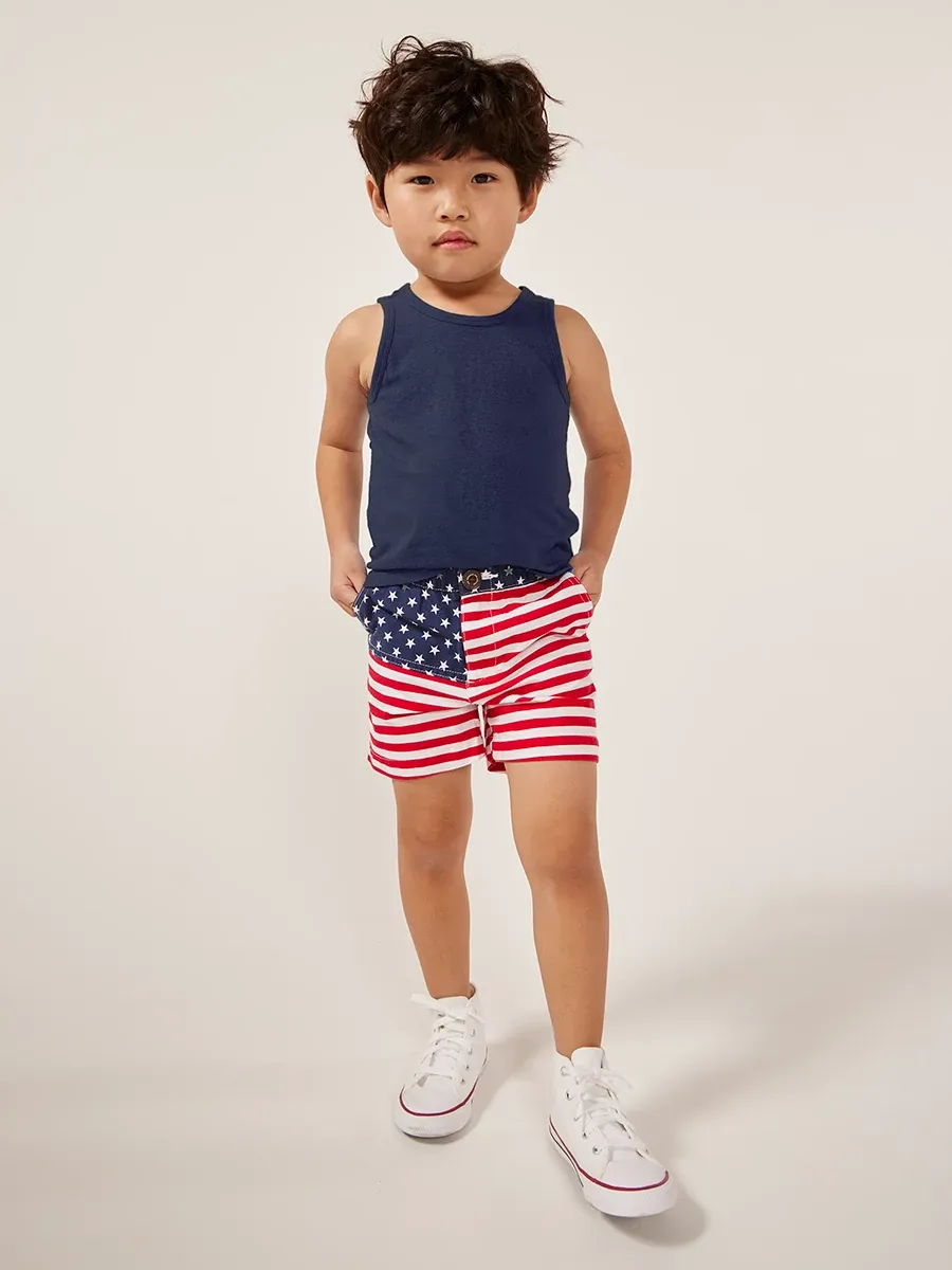 The Mini 'Mericas - Image 5