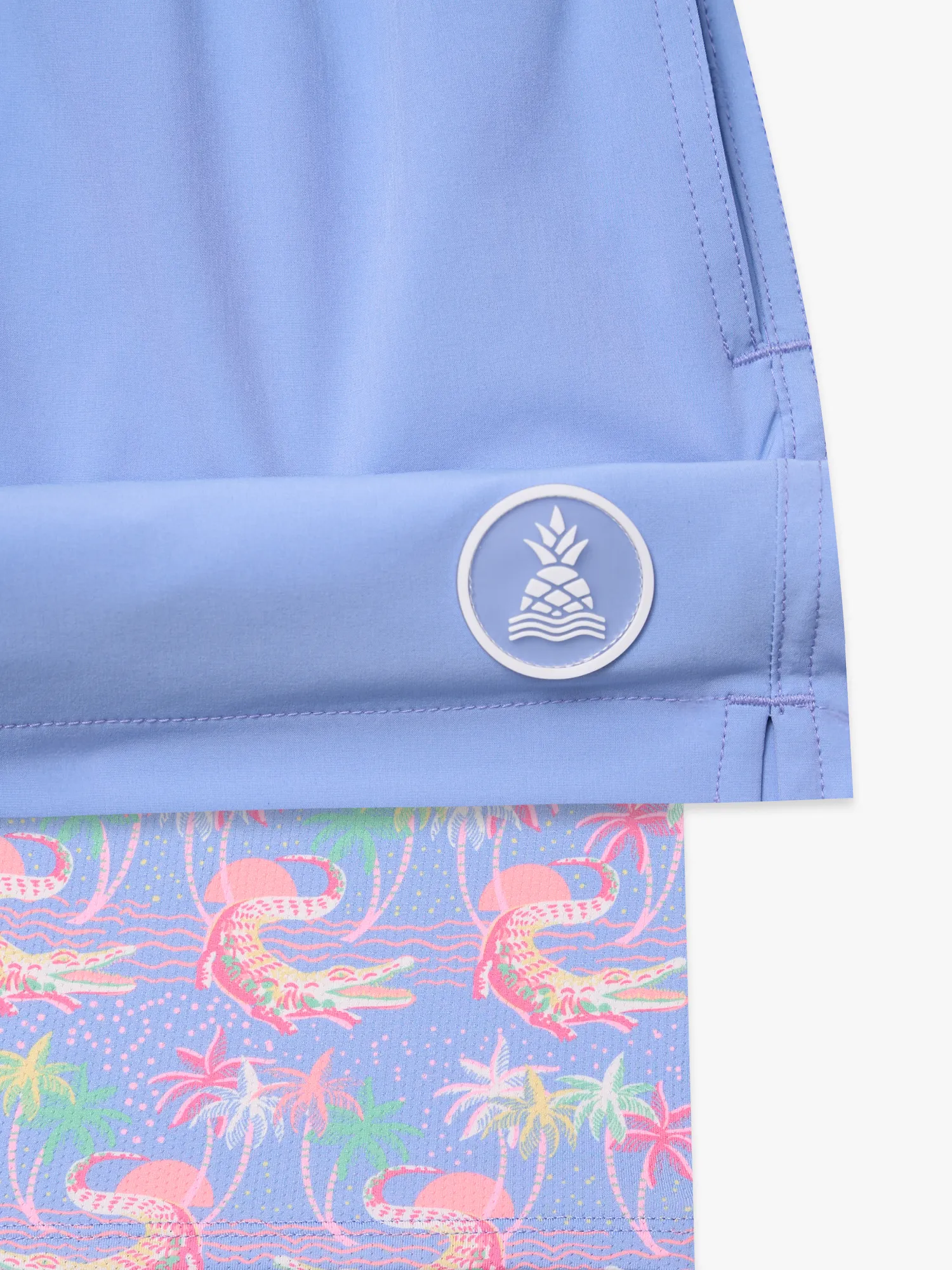 The Alpine Skies 5.5" (Classic Lined Swim Trunk w/ SP WB) - Image 8