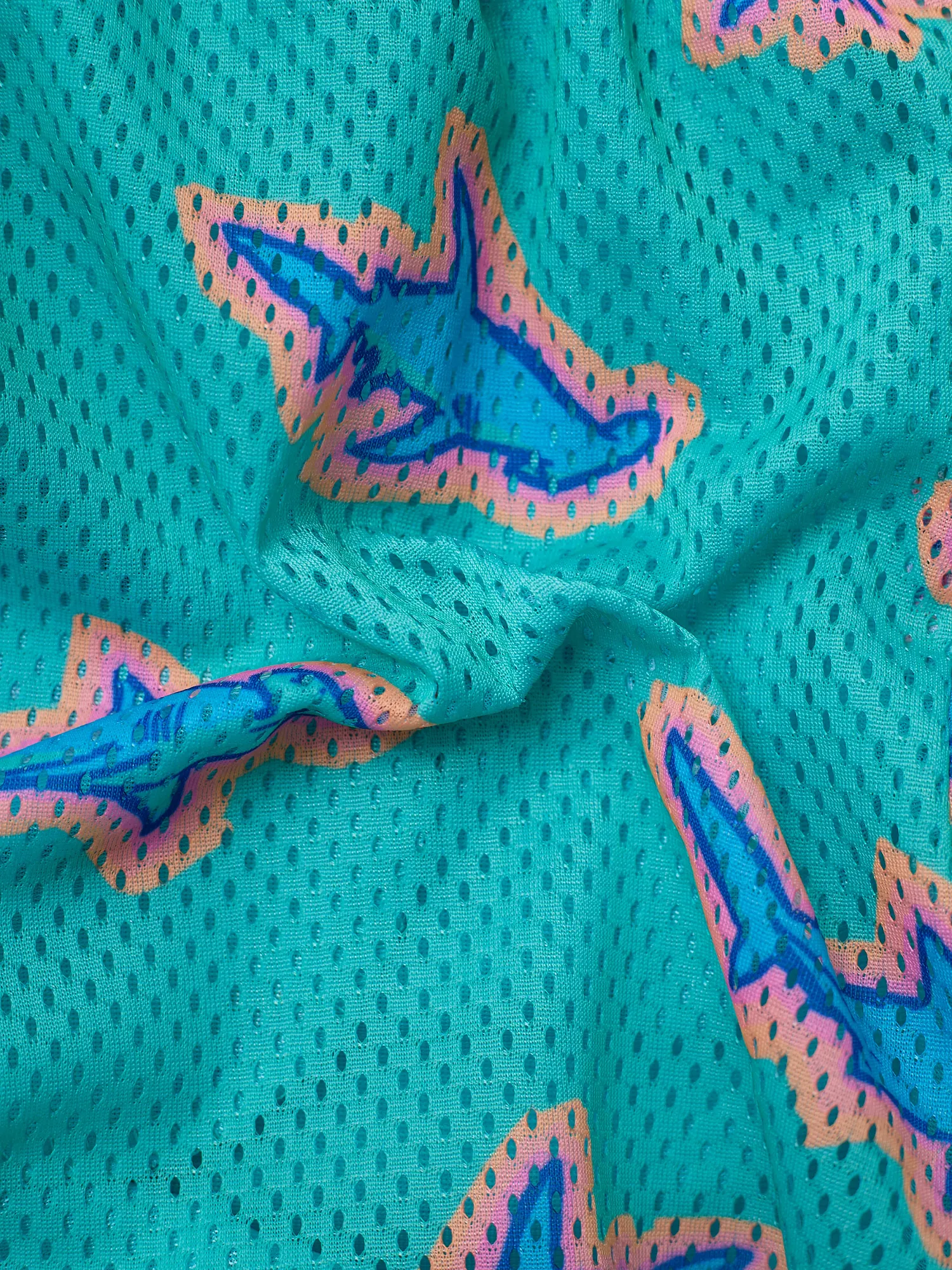 The Apex Swimmers (Boys Court Short) - Image 3