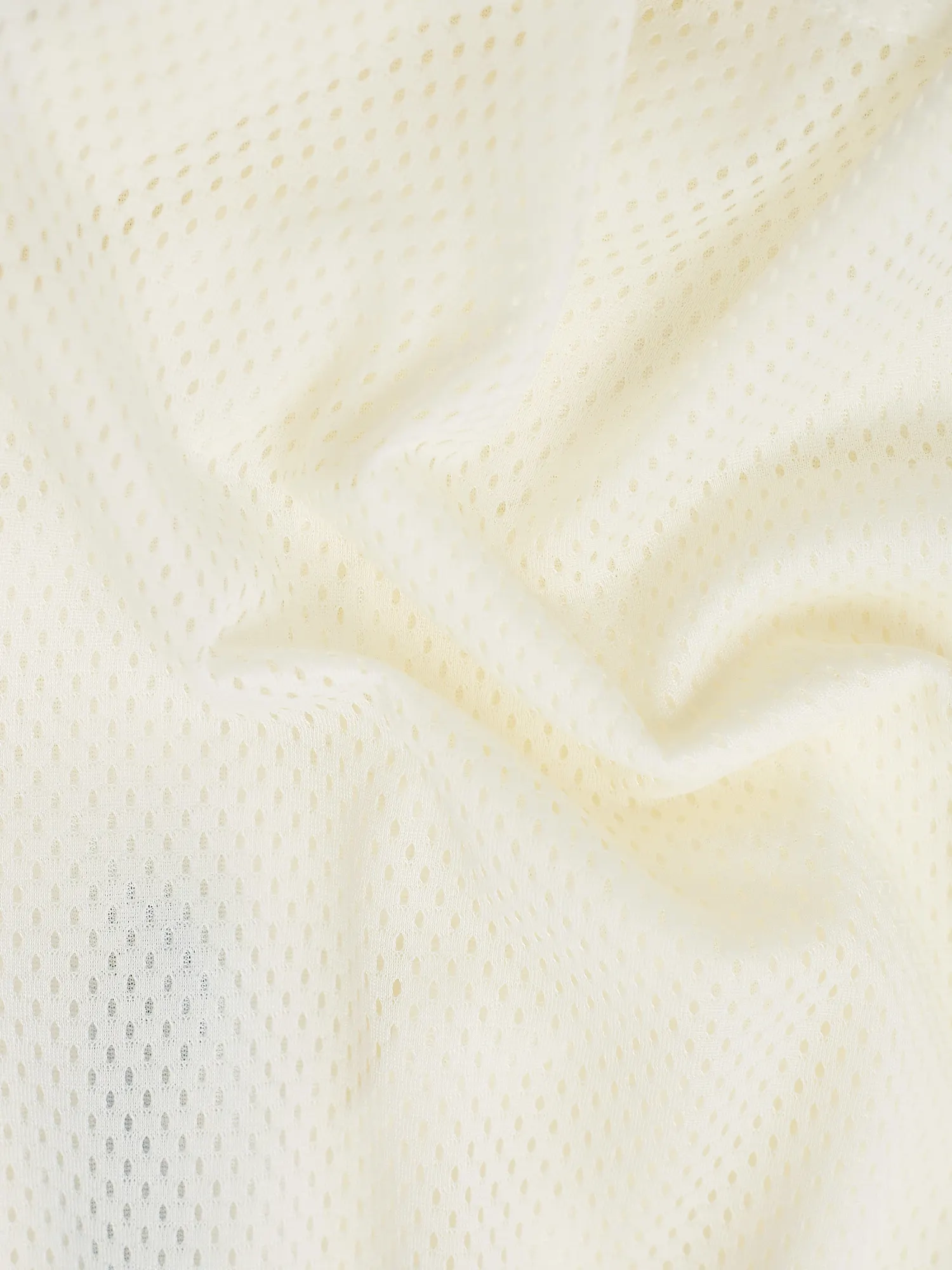 The Coconut Creams (Court Short) - Image 10