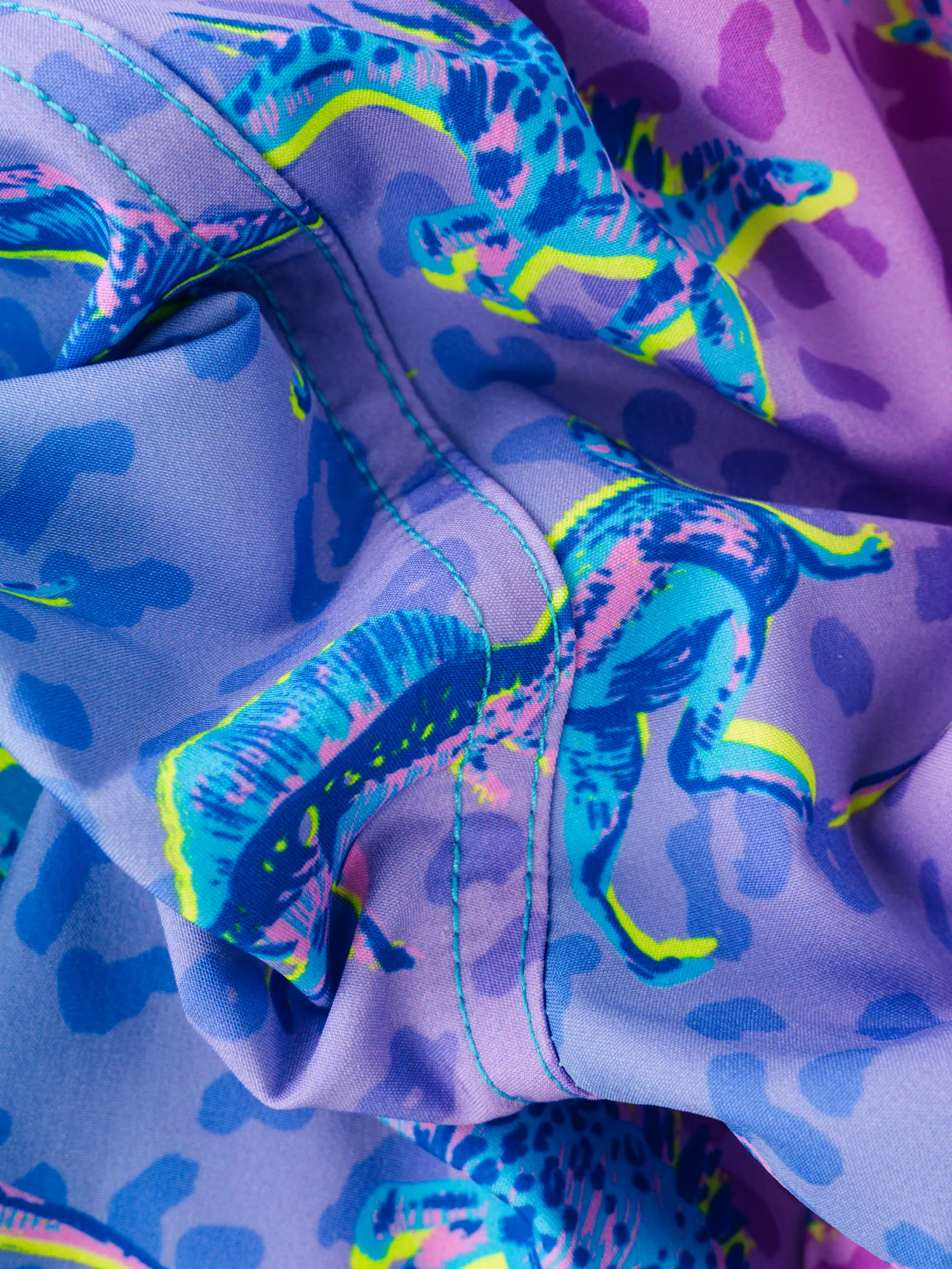 The Dino Delights 5.5" (Classic Swim Trunk) - Image 3