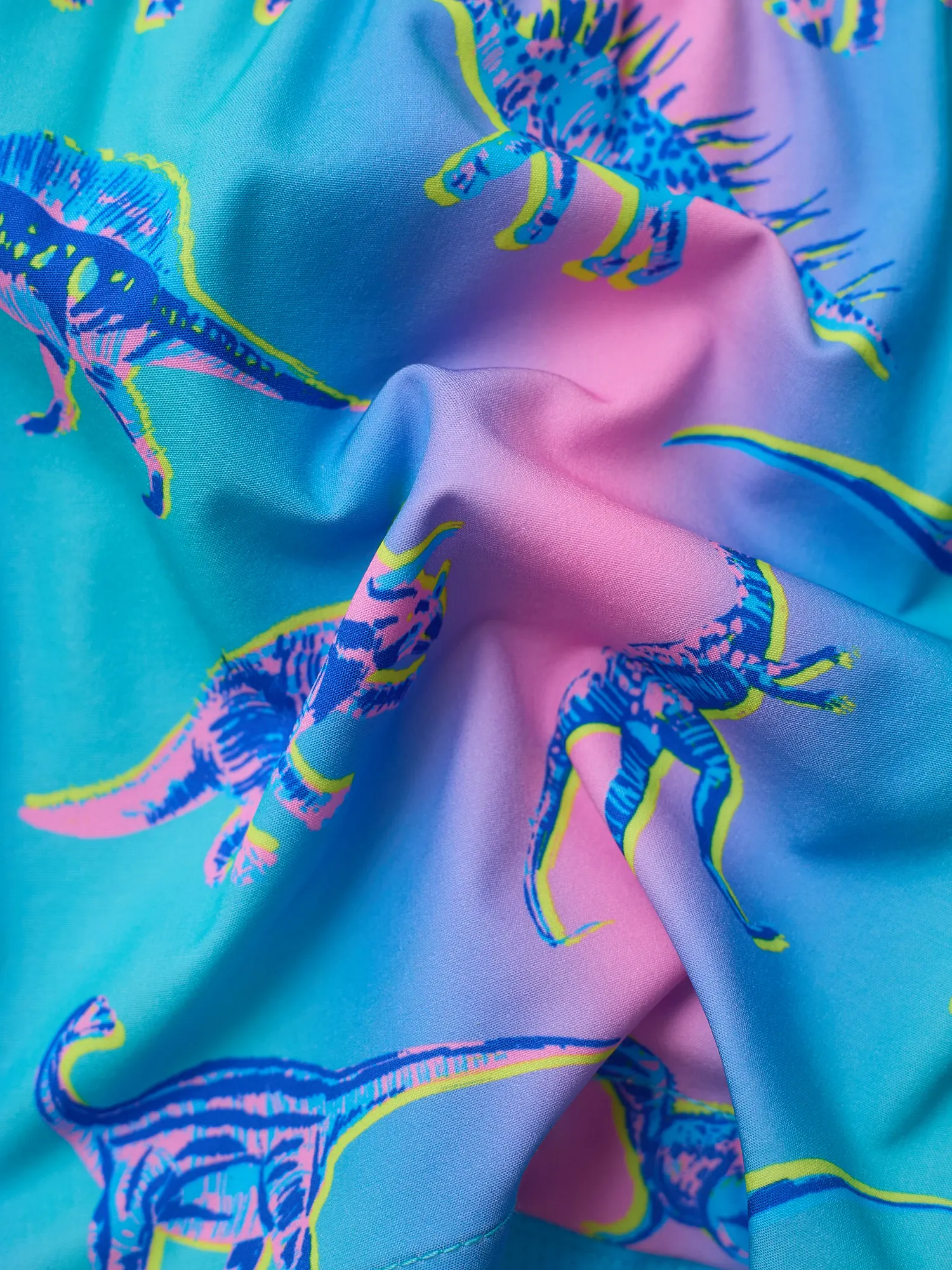 The Dino Delights (Boys Lined Swim Trunk- Magic) - Image 2
