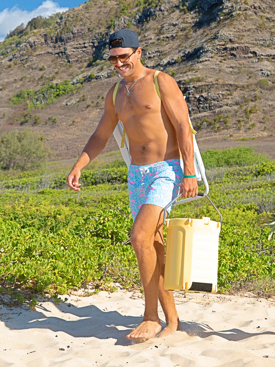 The Domingos Are For Flamingos 5.5" (Lined Classic Swim Trunk) - Image 7