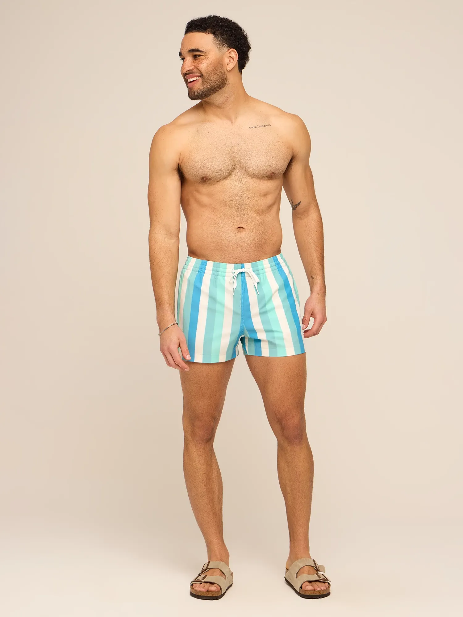 The Eversea Stripes 4" (Classic Lined Swim Trunk) - Image 5