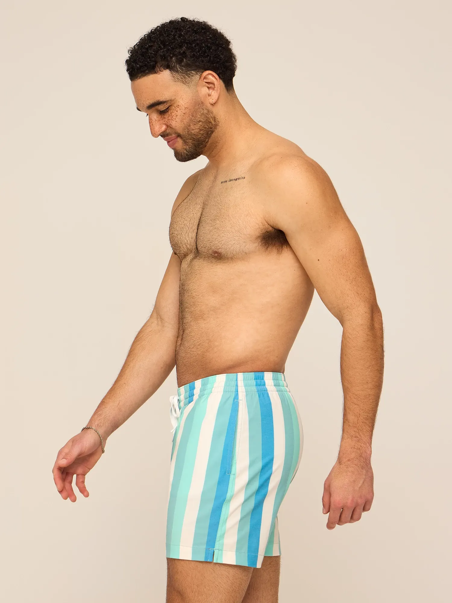 The Eversea Stripes 5.5" (Classic Lined Swim Trunk) - Image 3