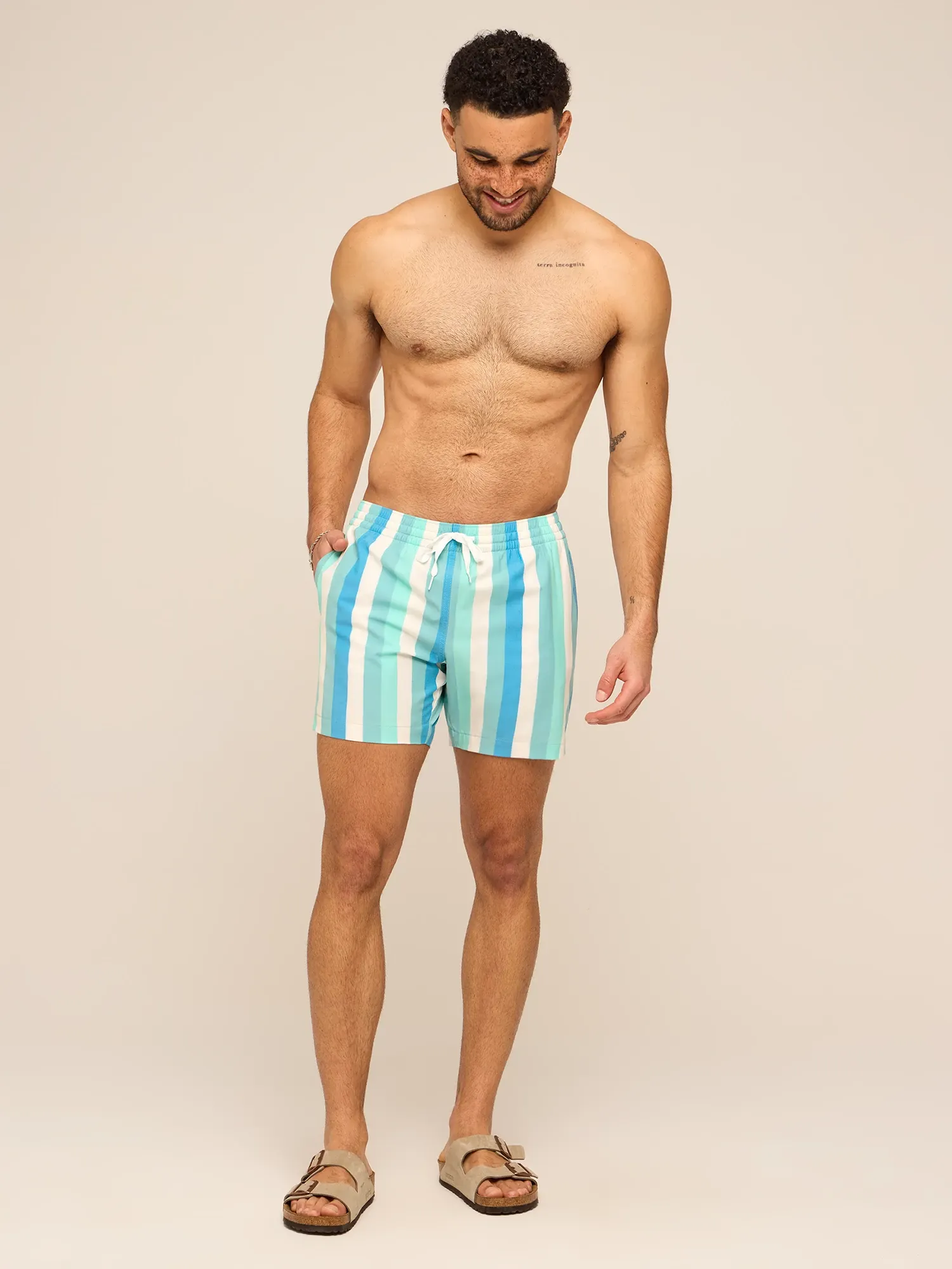 The Eversea Stripes 5.5" (Classic Lined Swim Trunk) - Image 5