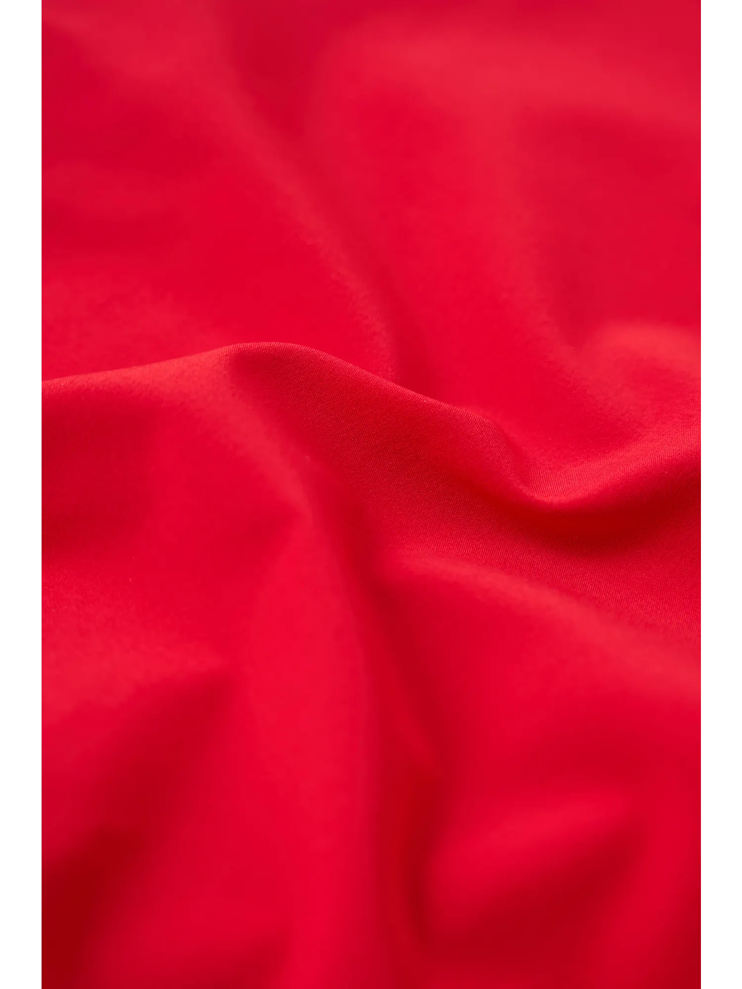 The Firecracker Reds 6" (Everywear Performance Short) - Image 8