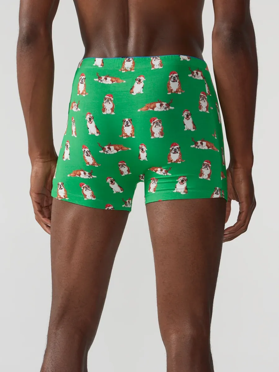 The Frankies (Boxer Brief) - Image 2