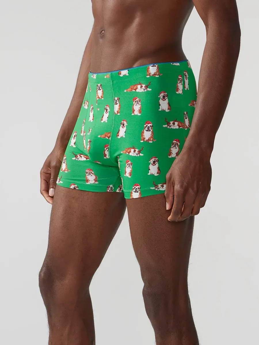 The Frankies (Boxer Brief) - Image 3