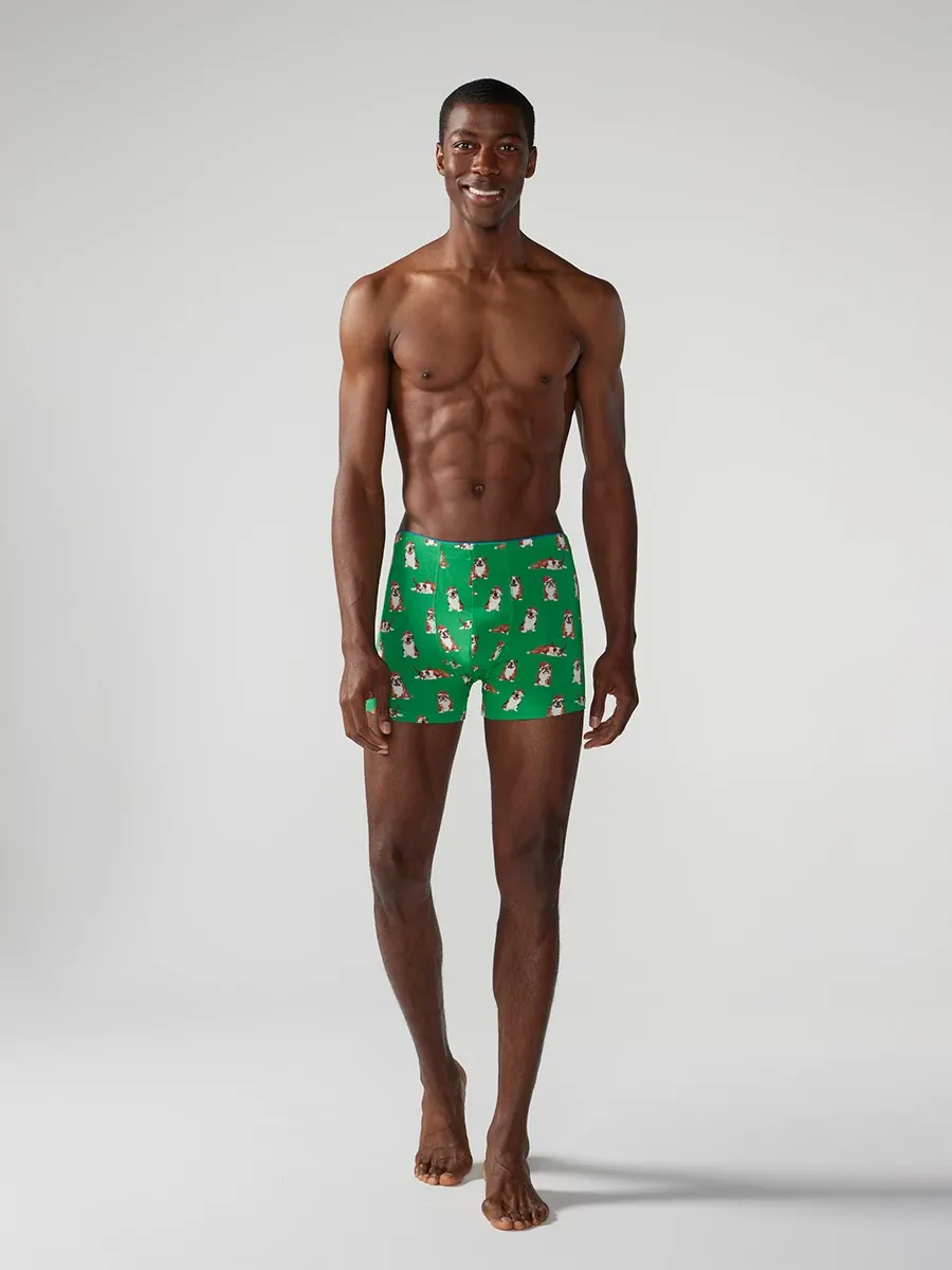 The Frankies (Boxer Brief) - Image 4