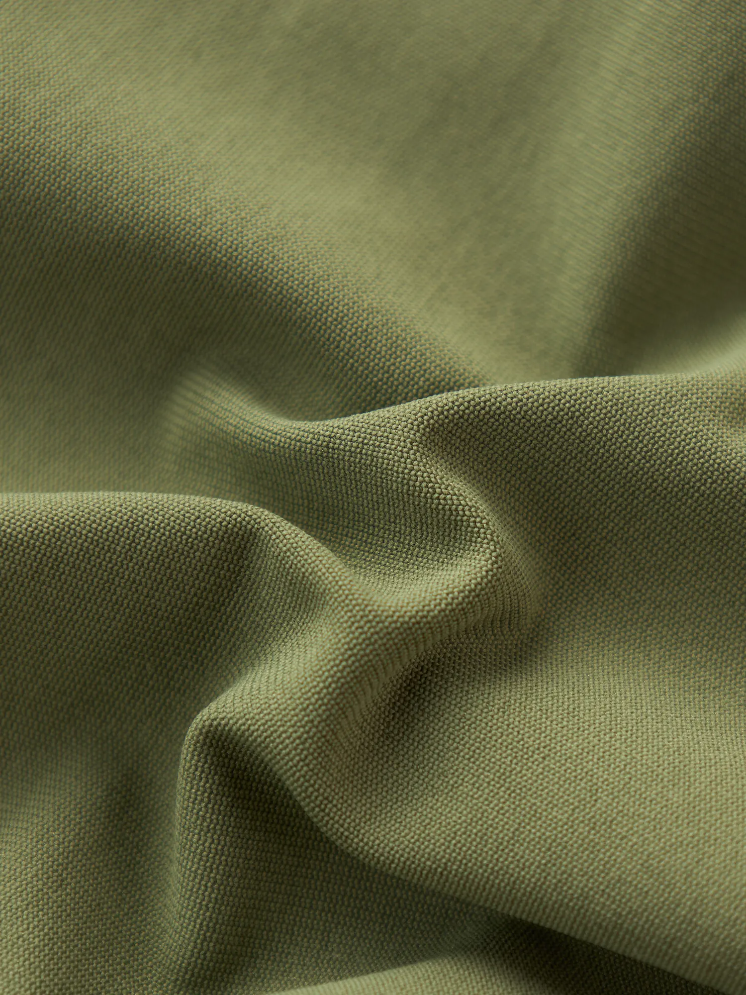 The Hidden Jungles (Fairway Short) - Image 7