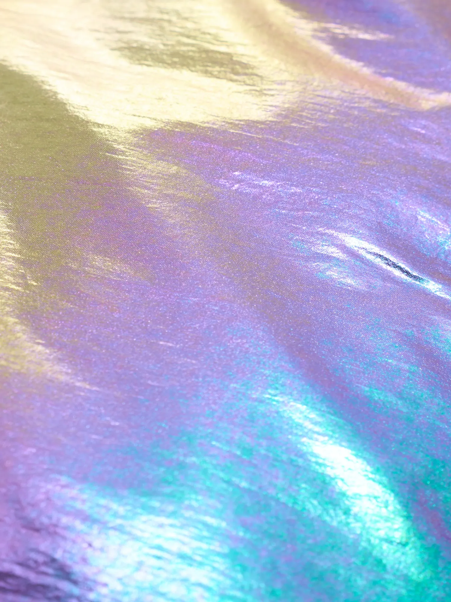 The Holy Holographic (Apres Jacket) - Image 13