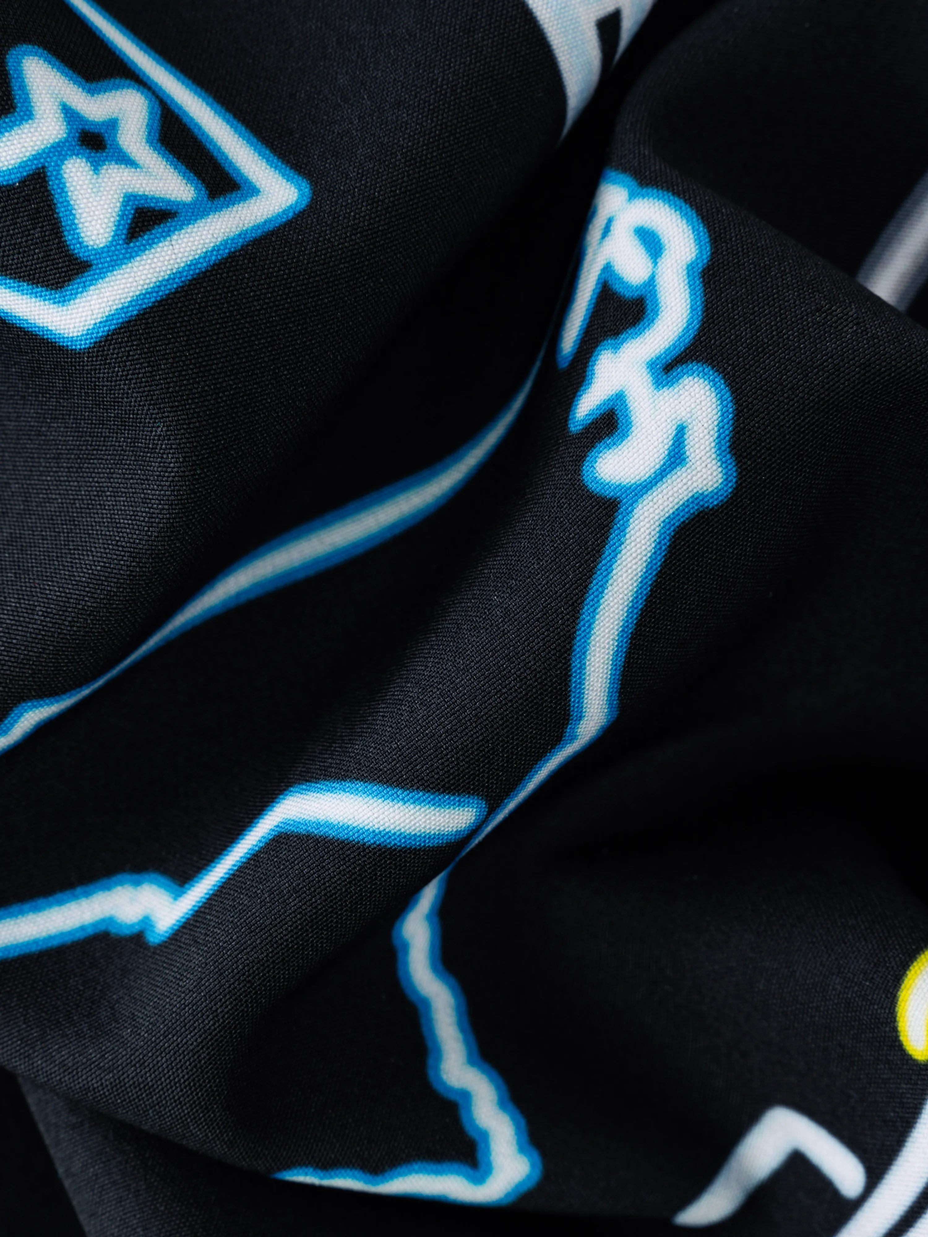 The Neon Panthers 5.5" (NFL Classic Lined Swim Trunks) - Image 3