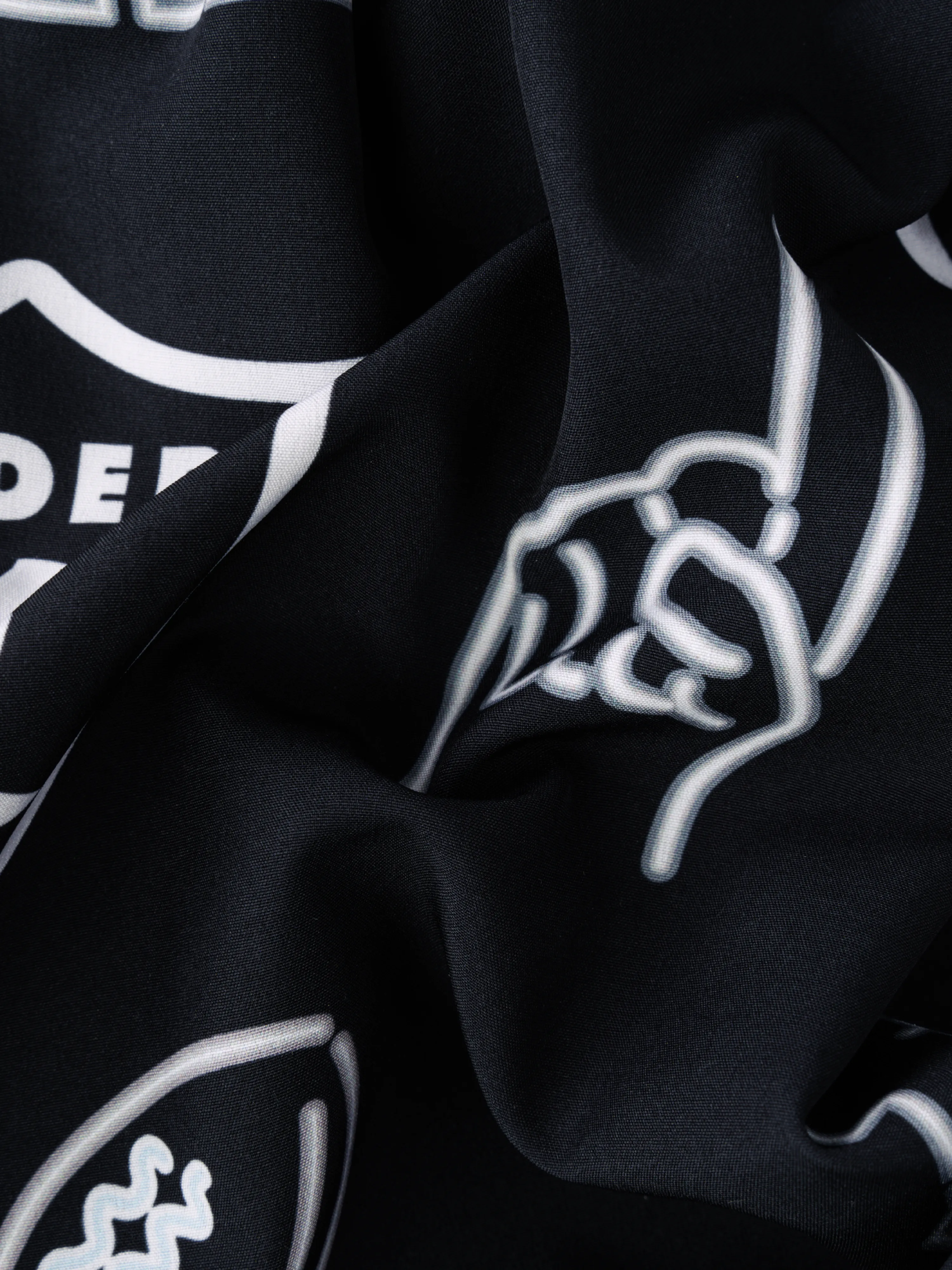 The Neon Raiders 5.5" (NFL Classic Lined Swim Trunks) - Image 3