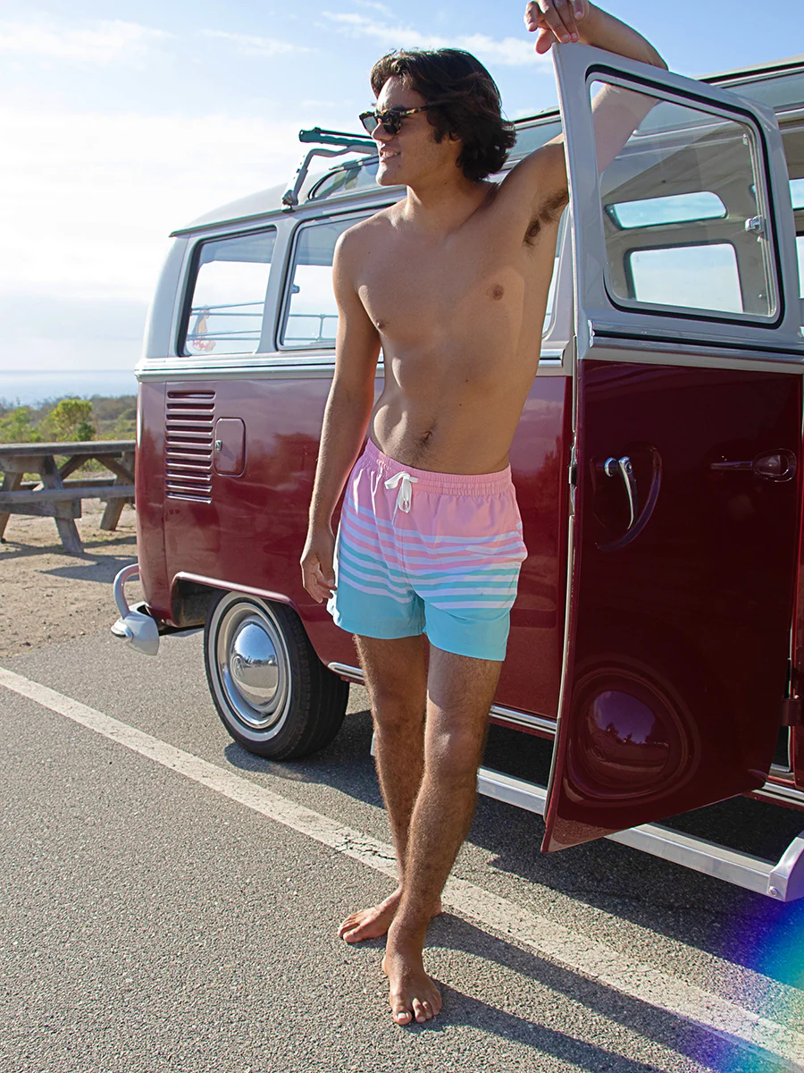 The On The Horizons 5.5" (Lined Classic Swim Trunk) - Image 7