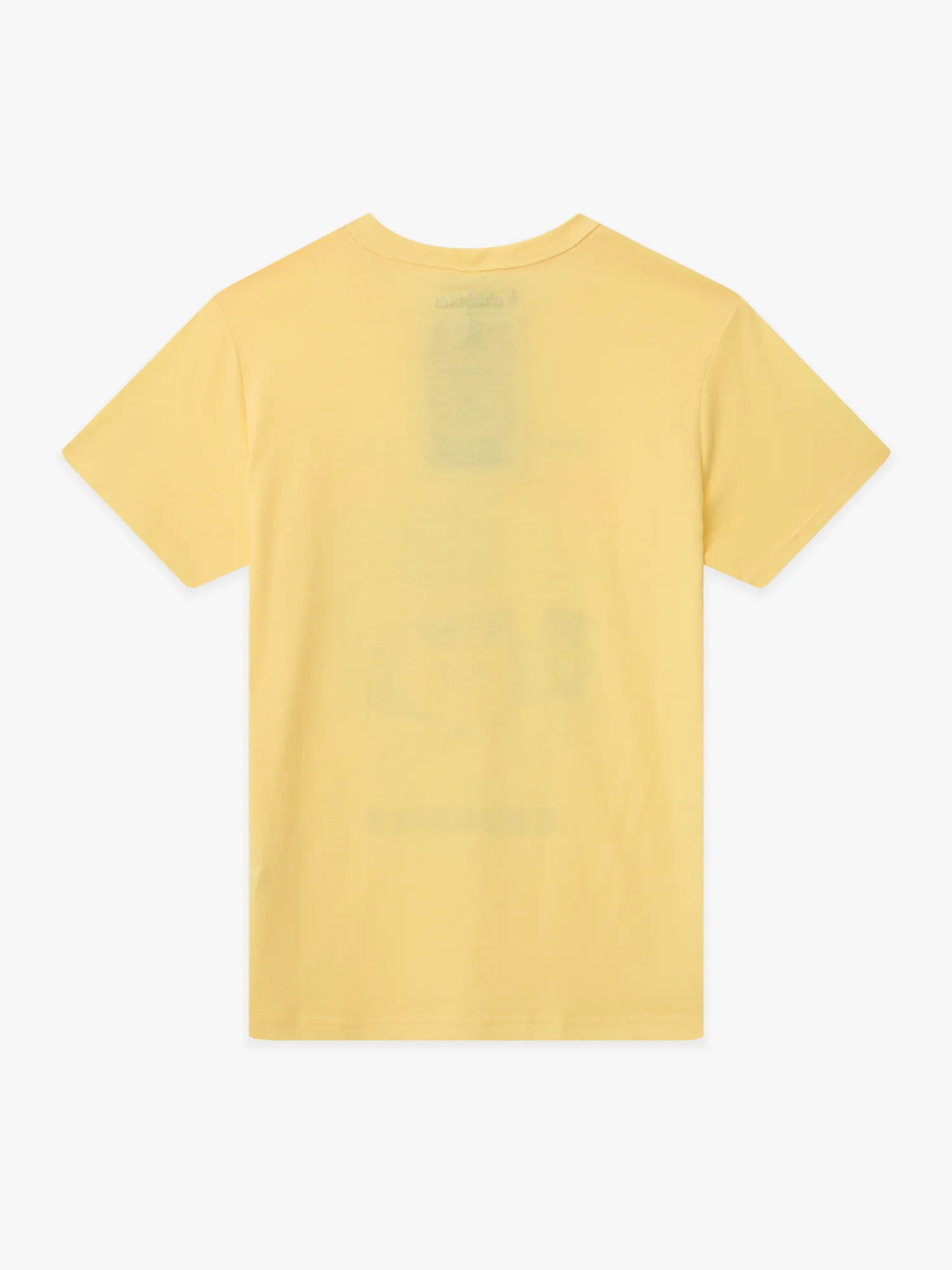 The Pineapple-A-Day (Boys Non Pocket T-Shirt) - Image 2