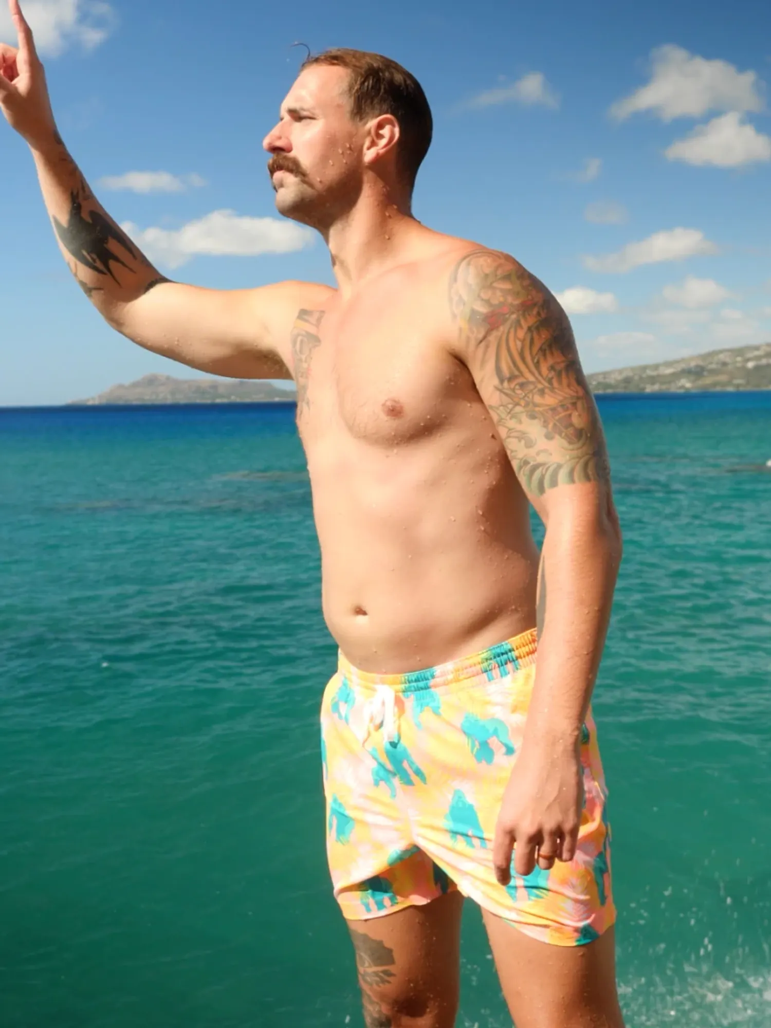 The Rumble in the Jungles 5.5" (Classic Lined Swim Trunk) - Image 4