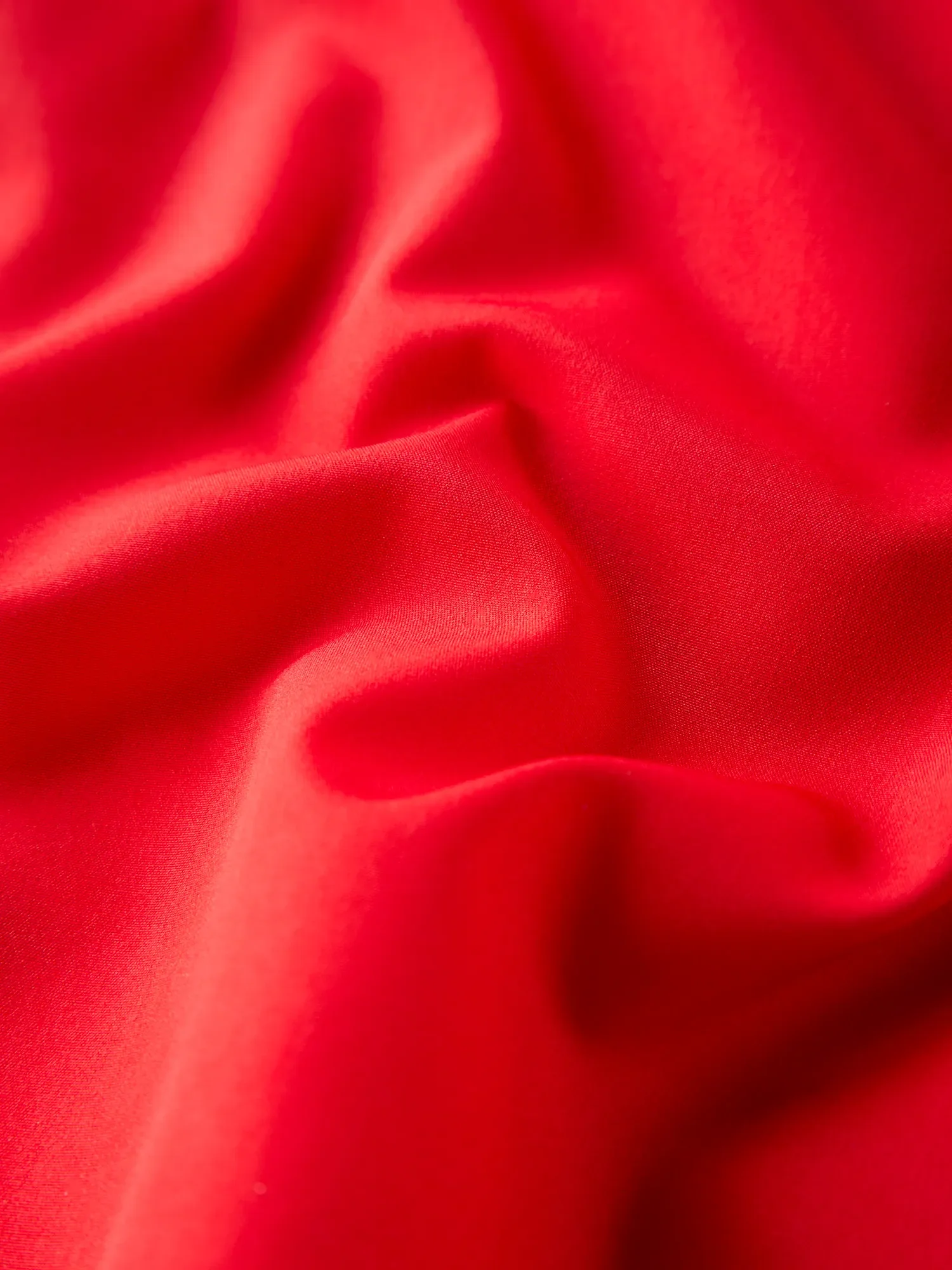 The Secret Chiefs 5.5" (Classic Lined Swim Trunks) - Image 3