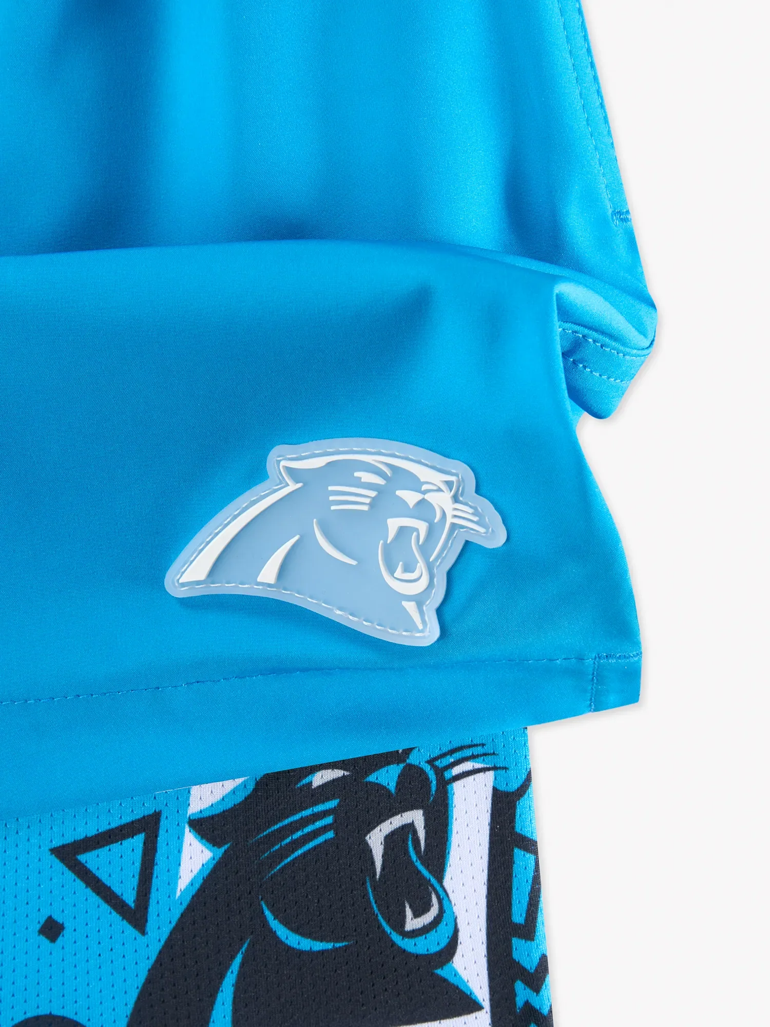 The Secret Panthers 5.5" (Classic Lined Swim Trunks) - Image 2
