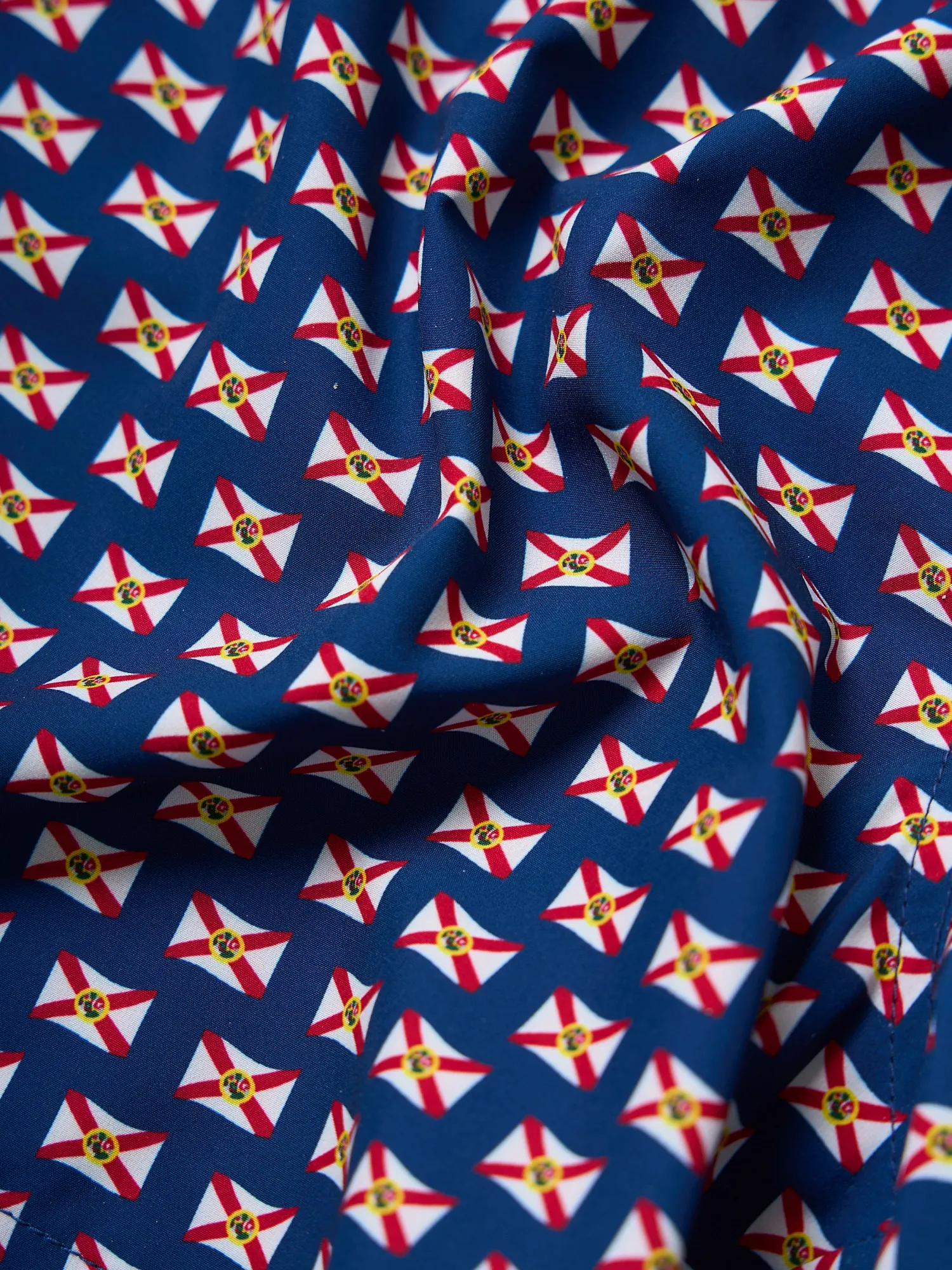 The Sunshine States 5.5" (Classic Lined Swim Trunk) - Image 8