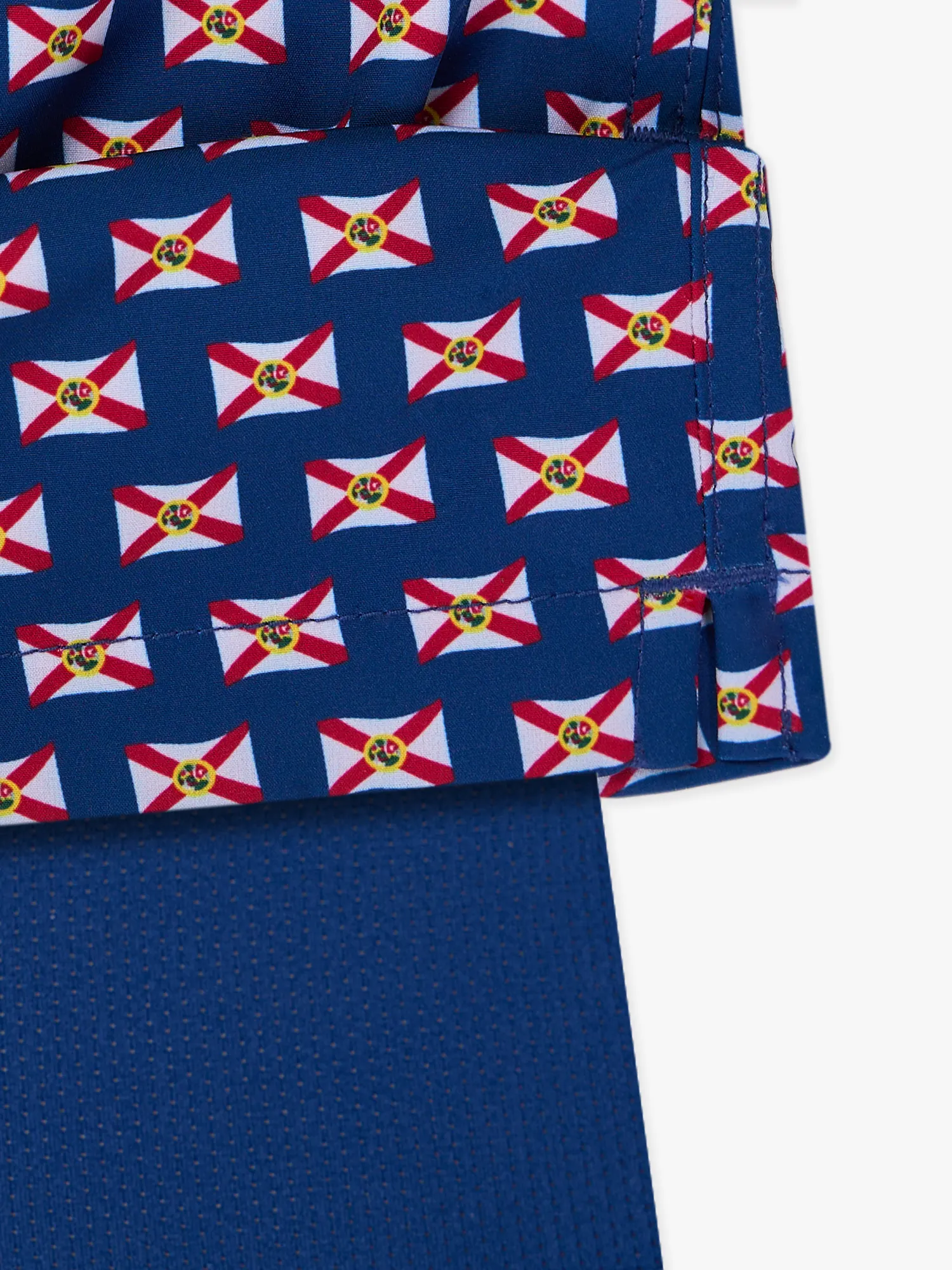 The Sunshine States 5.5" (Classic Lined Swim Trunk) - Image 9