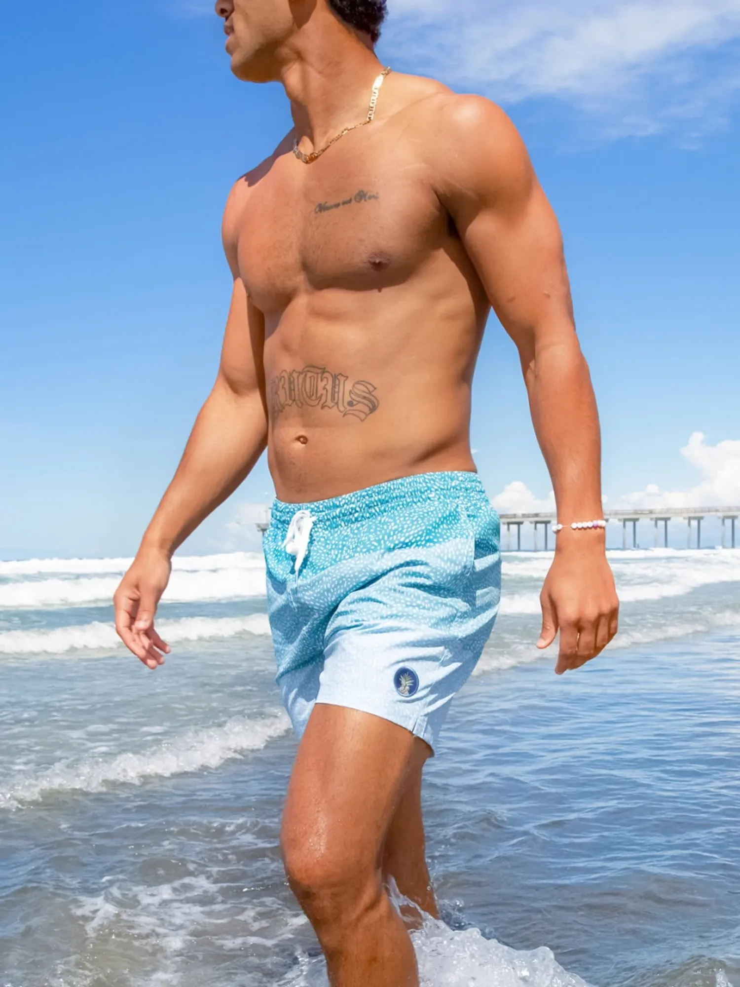 The Whale Sharks 5.5" (Classic Lined Swim Trunk) - Image 2