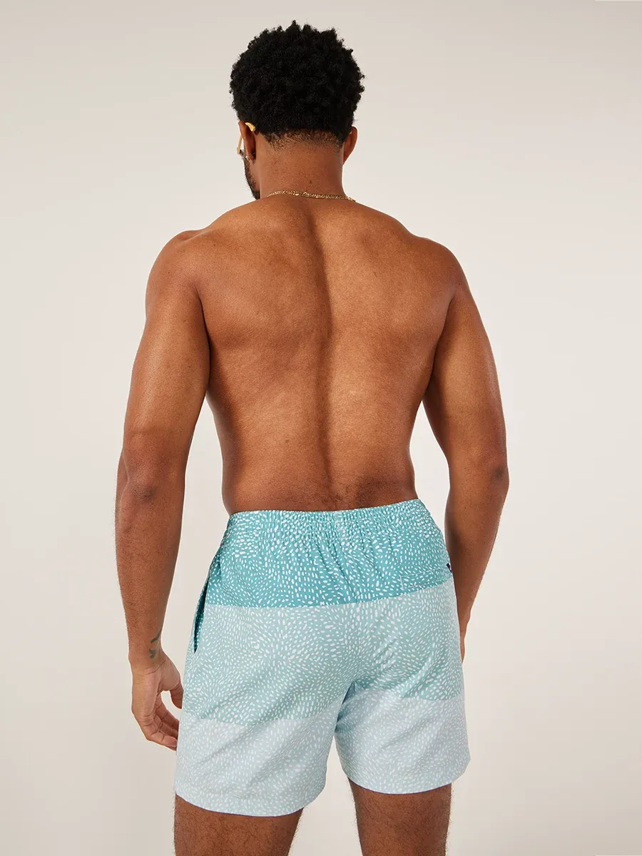 The Whale Sharks 5.5" (Lined Classic Swim Trunk) - Image 3